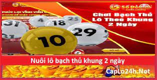 bạch thủ lô khung 2 ngày