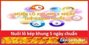 Bạch thủ lô khung 3 ngày