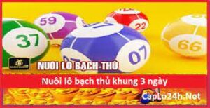 Nuôi lô khung 3 ngày