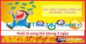 Nuôi lô song thủ 3 ngày