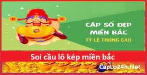 Cầu lô bạch thủ miền bắc