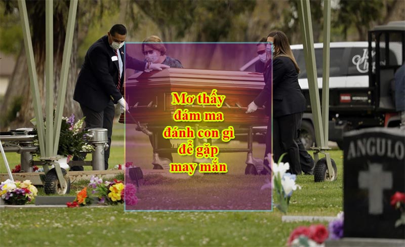 Mơ thấy đám ma đánh con gì để gặp may mắn