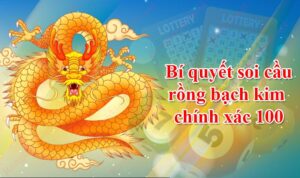 Tổng hợp cách đánh bạch thủ lô nuôi khung 5 ngày rồng bạch kim