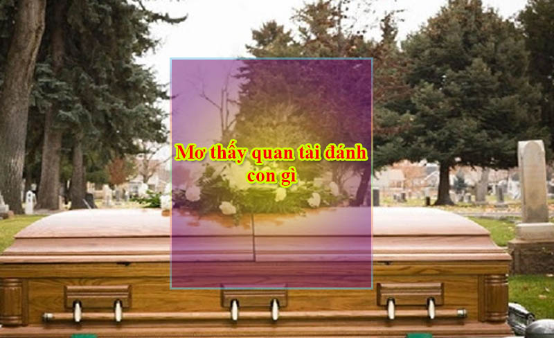 Mơ thấy quan tài đánh con gì và ý nghĩa trong lô đề Mơ thấy quan tài đánh con gì và ý nghĩa trong lô đề