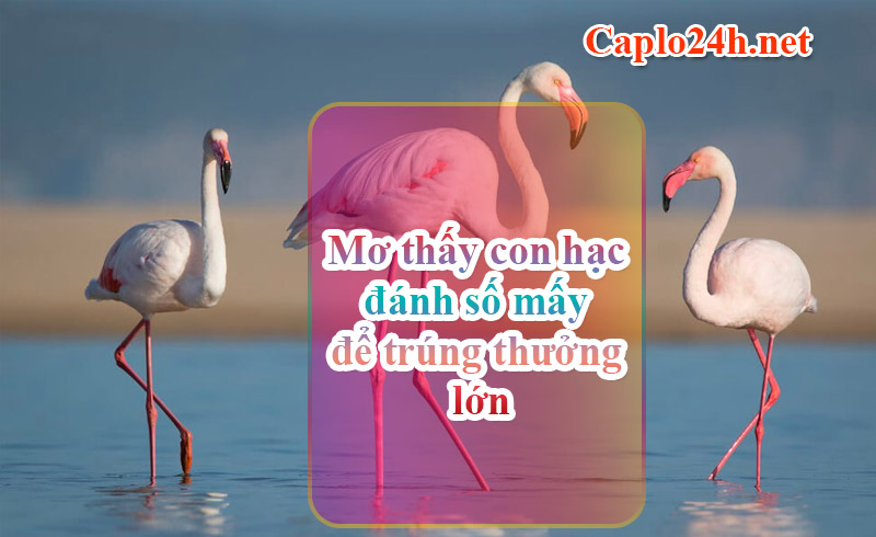 Mơ thấy con hạc đánh số mấy để trúng thưởng lớn