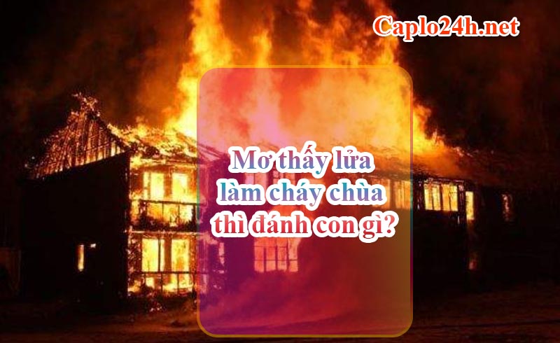 Mơ thấy lửa làm cháy chùa thì đánh con gì? Mơ thấy lửa làm cháy chùa thì đánh con gì?