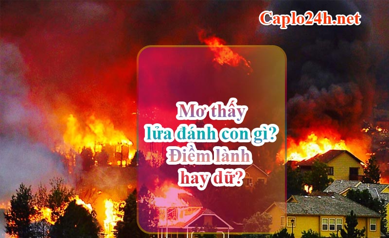 Mơ thấy lửa đánh con gì? Điềm lành hay dữ? Mơ thấy lửa đánh con gì? Điềm lành hay dữ?