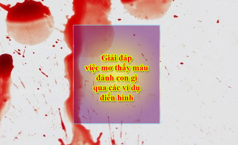 Giải đáp việc mơ thấy máu đánh con gì qua các ví dụ điển hình