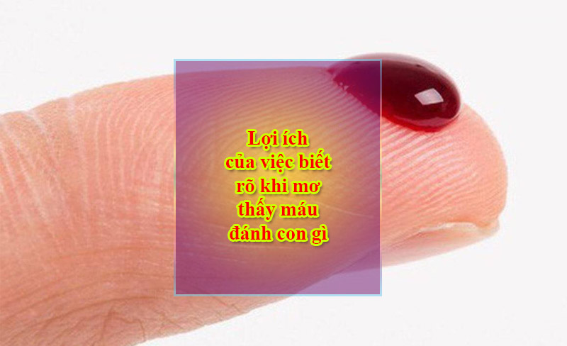 Lợi ích của việc biết rõ khi mơ thấy máu đánh con gì