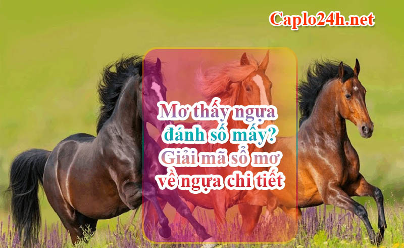 Mơ thấy ngựa đánh số mấy? Giải mã sổ mơ về ngựa chi tiết