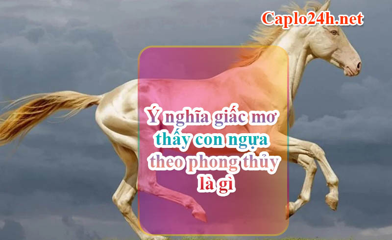 Ý nghĩa giấc mơ thấy con ngựa theo phong thủy là gì?