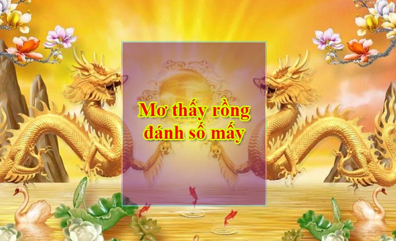 Mơ thấy rồng đánh số mấy