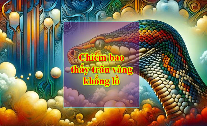 Chiêm bao thấy trăn vàng khổng lồ Chiêm bao thấy trăn vàng khổng lồ